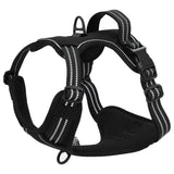 Harnais pour chien avec laisse et collier réglables noir XL