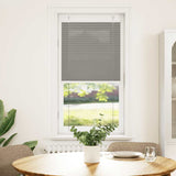 Anthracite pleated blind 55x100 cm fabric width 54.4 cm