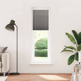 Anthracite pleated blind 65x200 cm fabric width 64.4 cm