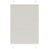 Store plissé gris clair 100x100 cm largeur du tissu 99,4cm