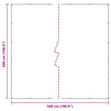 Bâche transparente avec œillets 5x5 m polyéthylène