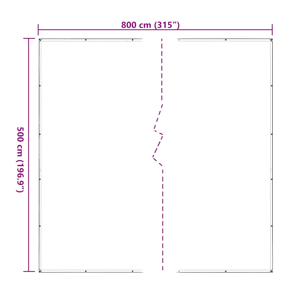 Bâche transparente avec œillets 5x8 m polyéthylène