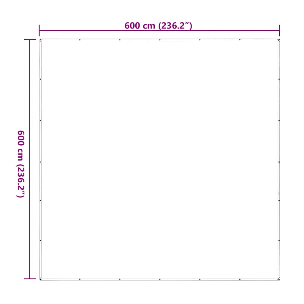 Bâche transparente avec œillets 6x6 m polyéthylène