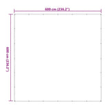 Bâche transparente avec œillets 6x6 m polyéthylène