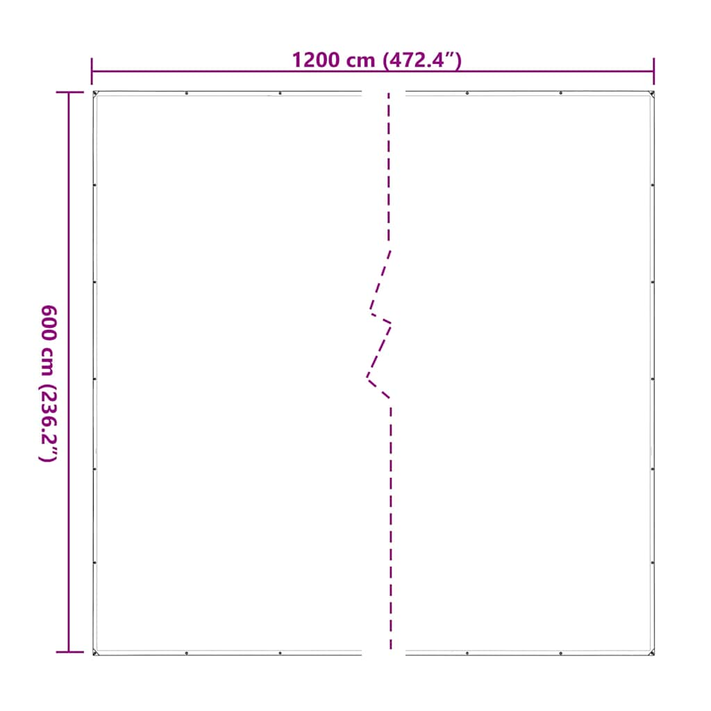 Bâche transparente avec œillets 6x12 m polyéthylène