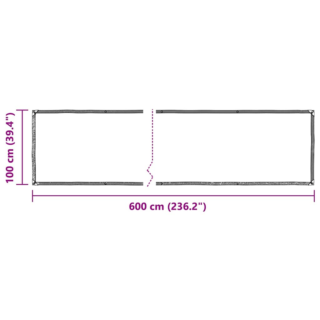 Bâche transparente avec œillets 1x6 m polyéthylène