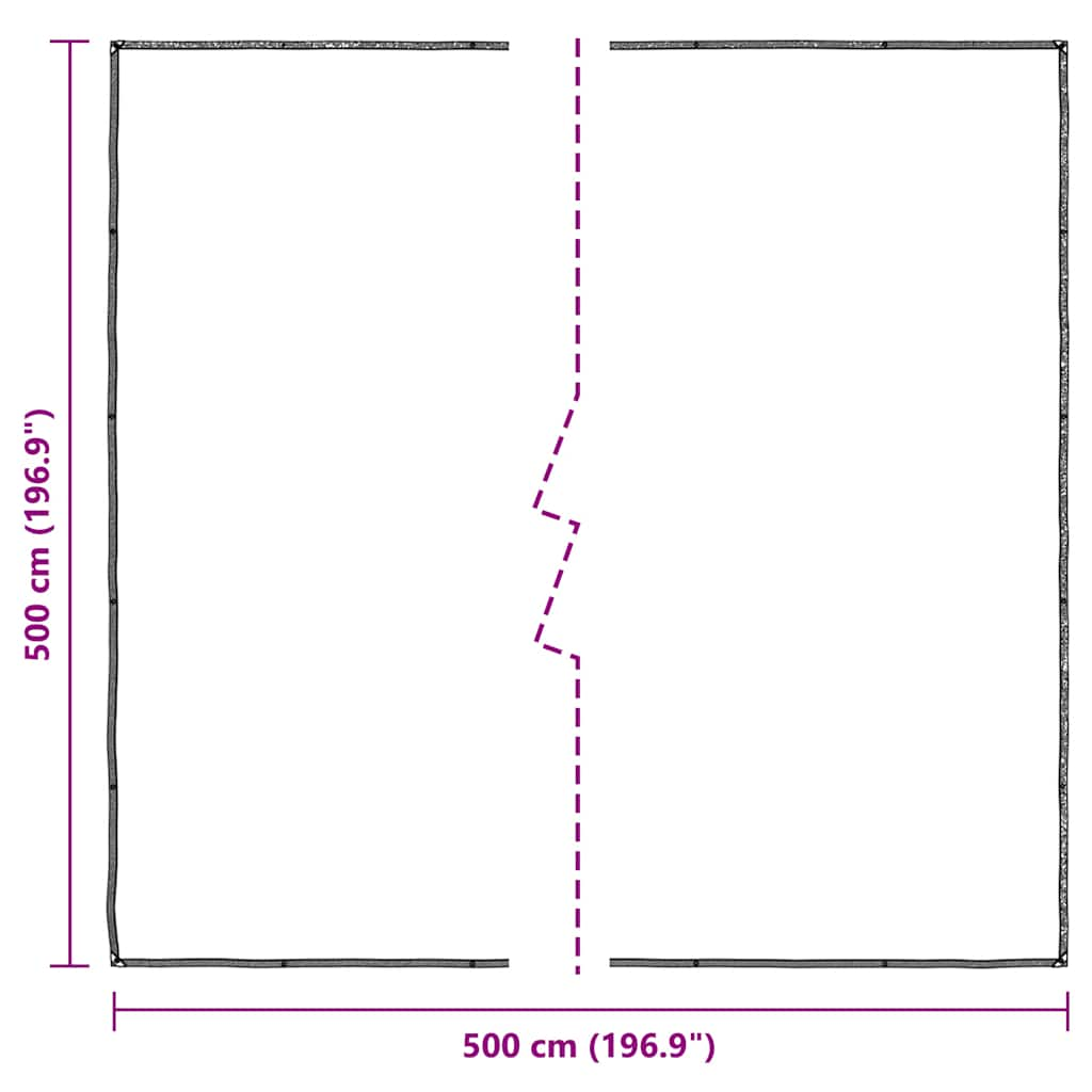 Bâche transparente avec œillets 5x5 m polyéthylène