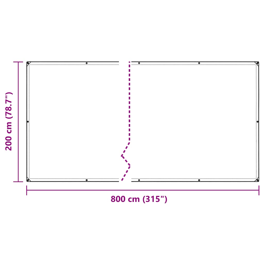 Bâche transparente avec œillets 2x8 m PVC