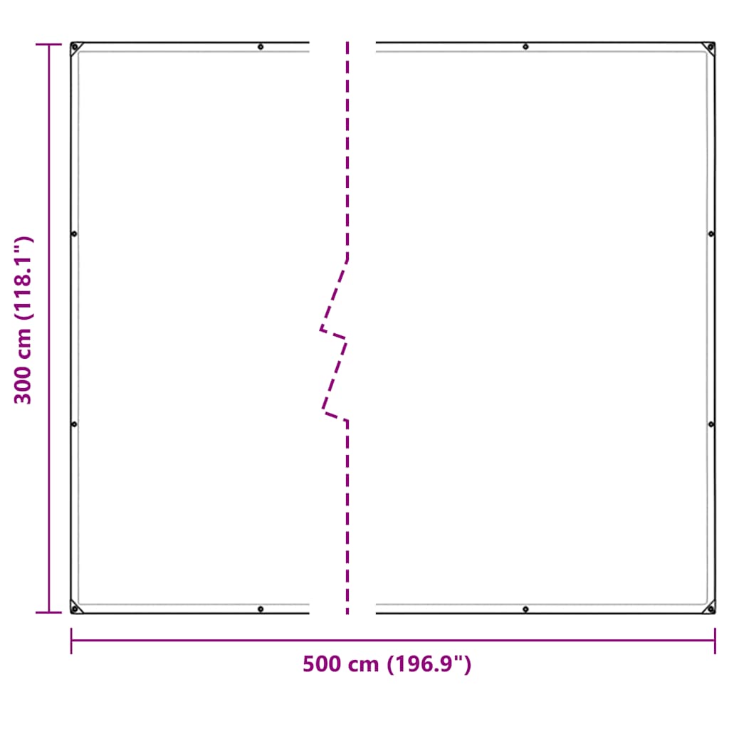 Bâche transparente avec œillets 3x5 m PVC