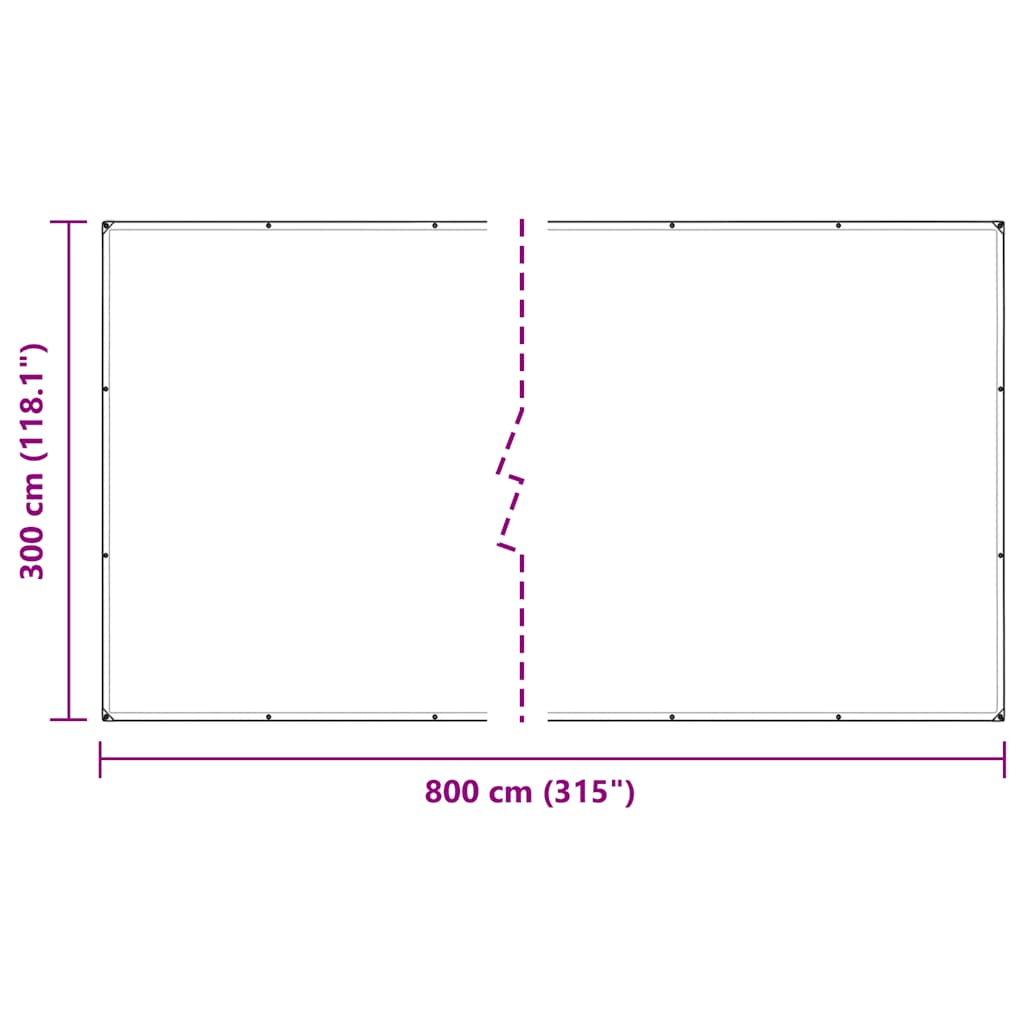 Bâche transparente avec œillets 3x8 m PVC