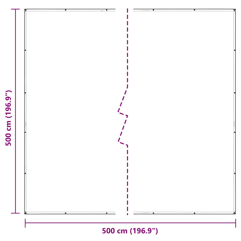 Bâche transparente avec œillets 5x5 m PVC