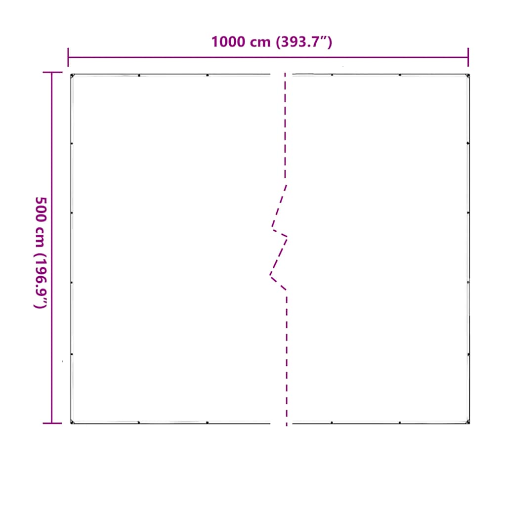 Bâche transparente avec œillets 5x10 m PVC