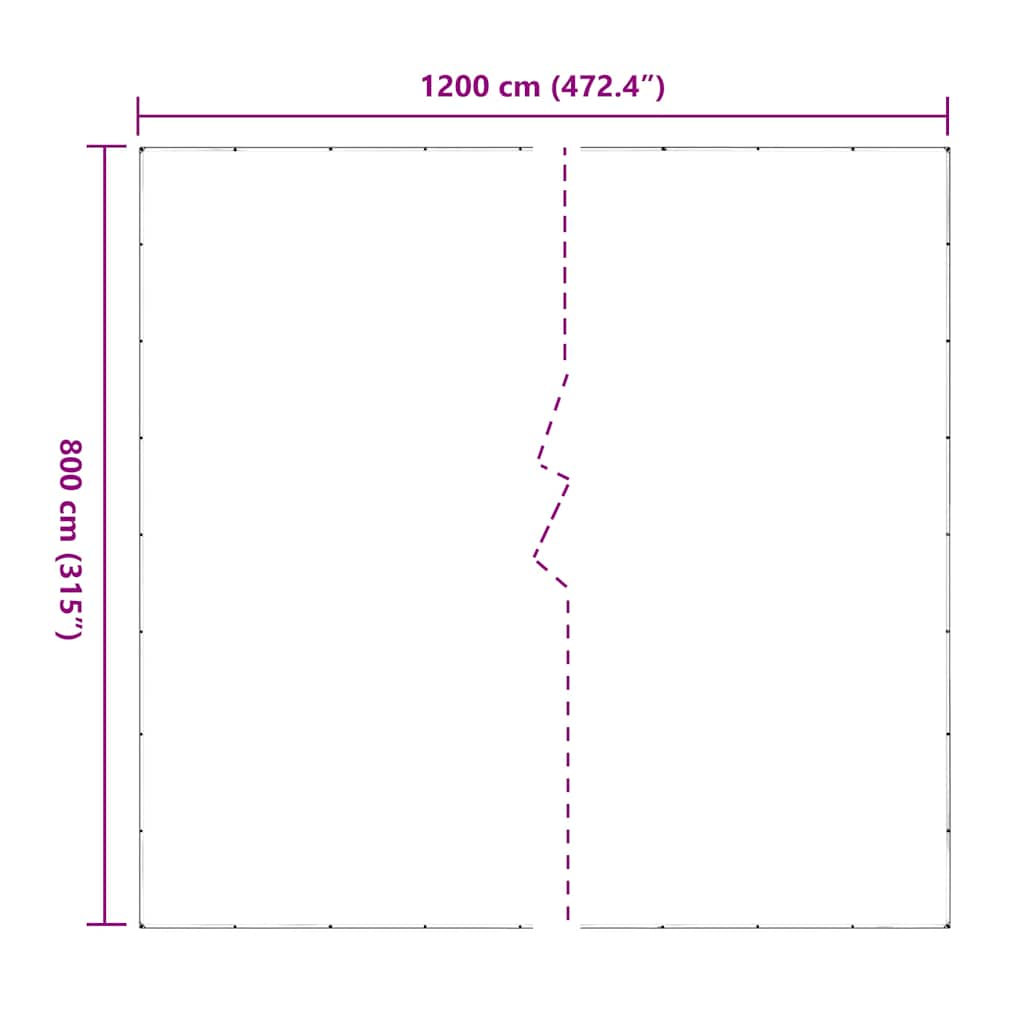 Bâche transparente avec œillets 6x12 m PVC