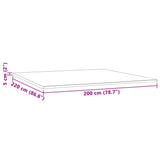 Sur-matelas 200x220x5 cm