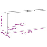 Jardinière rouillé 200x40x80 cm acier inoxydable