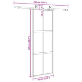 Porte coulissante kit quincaillerie noir 76x205 cm verre trempé