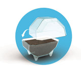 Mini Terrarium - Clementoni - Lion - Jeu de sciences et d'expériences - Des 7 ans - Fabriqué en Italie