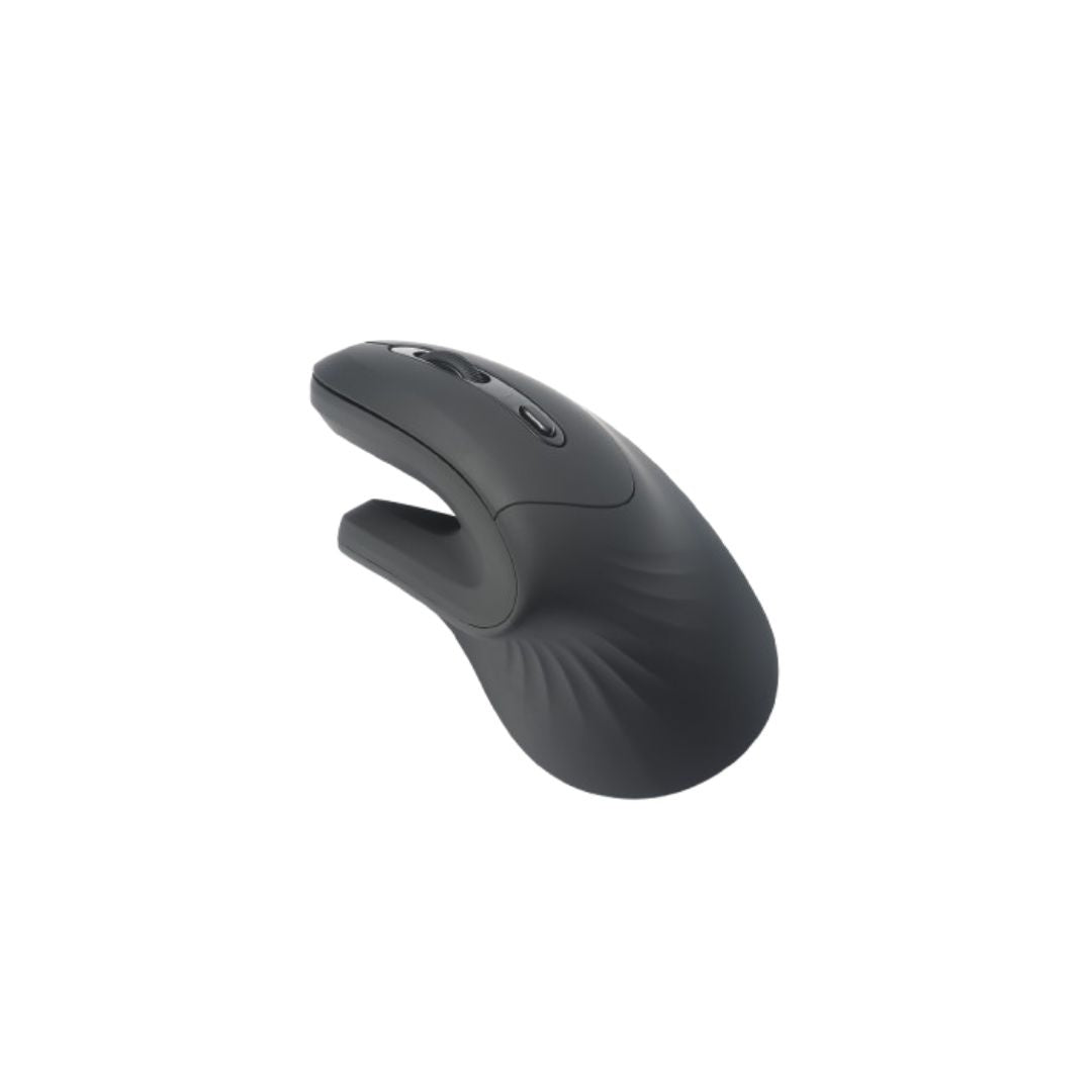 Souris ergonomique WE, 2-en-1 connexion BT + 2.4GHz, 5 boutons et 1 molette DPI