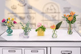MGA Miniverse - Botanicals - Jeu Créatif - Mini plantes - Loisirs créatif et décoratif en résine - Non Comestible - 8 ans et plus