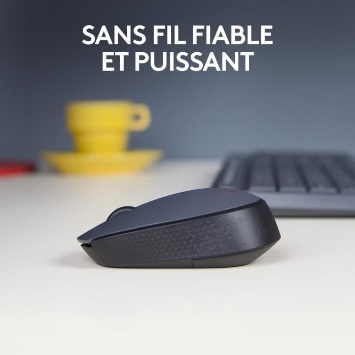 Souris - Sans fil - Logitech - M170 - Gris - Ambidextre