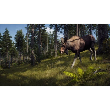 Way of the Hunter Wild Expeditions - Jeu PS5