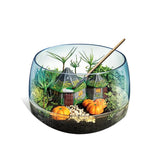 Terrarium Harry Potter - CLEMENTONI - Cabane de Hagrid a reproduire