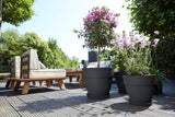 ELHO Lot de 2 pots de fleurs rond avec soucoupes Vibia Campana + Loft - Ø29,8 x H25,8cm + soucoupe Ø21 x H2,8cm - 22 L - Noir