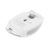 Souris sans fil Bluetooth Trust Ozaa (Blanc)