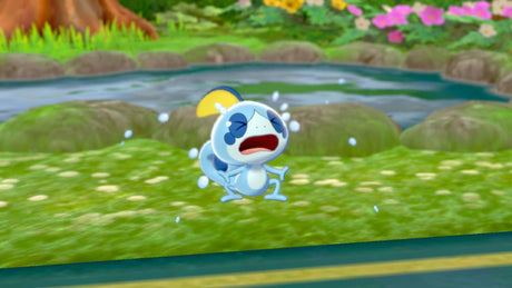 Pokémon Bouclier • Jeu Nintendo Switch