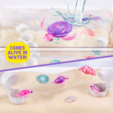 Set maman tortue et bébé surprise - PETS ALIVE - Mama Turtle Surprise - Tortue animée - Effets sonores