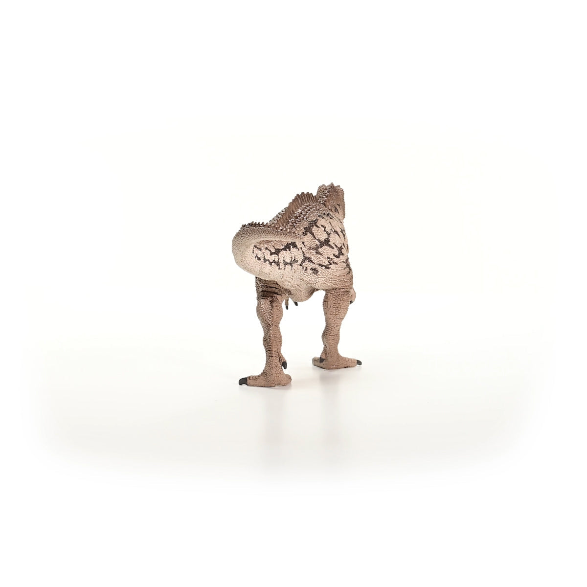 Figurine Carcharodontosaurus, SCHLEICH 15048 Dinosaurs, Des 4 ans