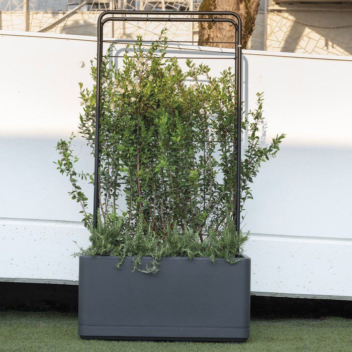 Porte-plantes - DEROMA - Cosmo - 78 x H 155 cm - Métal - Gris