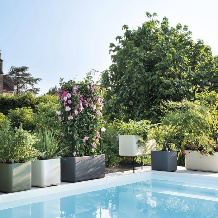 Porte-plantes - DEROMA - Cosmo - 78 x H 155 cm - Métal - Gris
