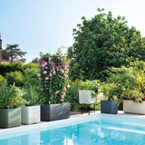 Porte-plantes - DEROMA - Cosmo - 78 x H 155 cm - Métal - Gris