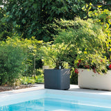 Porte-plantes - DEROMA - Cosmo - 78 x H 163 cm - Métal - Gris