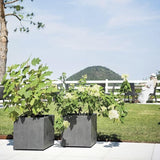 DEROMA Pot de fleurs Cube Millennium R - 39 x H39,1 cm - Anthracite - A réserve d'eau