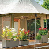Pot de fleurs carré - DEROMA - Millennium - 80 L - 49 cm - A réserve d'eau et roulettes - Marron