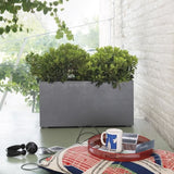 DEROMA Jardiniere Muret Millennium R - Ashgrey - 78,5x39 x h39,1 cm - A réserve d'eau