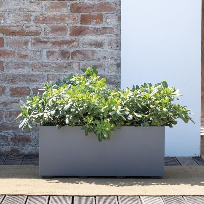 DEROMA Jardiniere Muret Millennium R - 59x25 x h25 cm - Ashgrey - A réserve d'eau