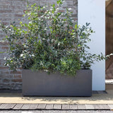 DEROMA Jardiniere Muret Millennium R - 99 x h39 cm - Anthracite - A réserve d'eau - Roulettes