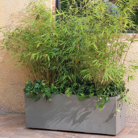Pot de fleurs rectangulaire - DEROMA - Millennium - 97 L - 99 cm - A réserve d'eau  et roulettes - Marron