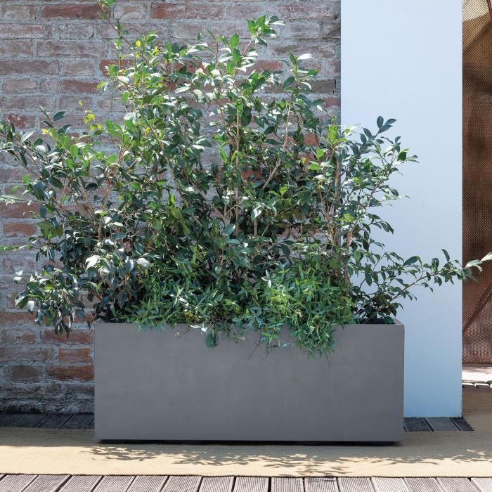 DEROMA Jardiniere Muret Millennium R - Ashgrey - 99 x h39 cm - A réserve d'eau - Roulettes