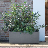 DEROMA Jardiniere Muret Millennium R - Ashgrey - 99 x h39 cm - A réserve d'eau - Roulettes