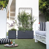 DEROMA Pot de fleurs Cube Cosmo - 38 x h39 cm - Anthracite - A réserve d'eau - Roulettes