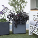 DEROMA Pot de fleurs Cube Cosmo - 38 x h39 cm - Ashgrey - A réserve d'eau - Roulettes