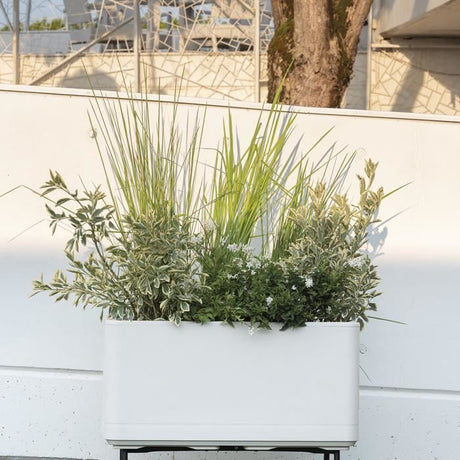DEROMA Jardiniere Muret Cosmo - 78 x h39 cm - Perle - A réserve d'eau - Roulettes