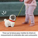 Fisher-Price Mon Carlin a promener - Jouet a tirer pour bébé - des 12 mois - HTW94