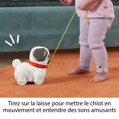 Fisher-Price Mon Carlin a promener - Jouet a tirer pour bébé - des 12 mois - HTW94
