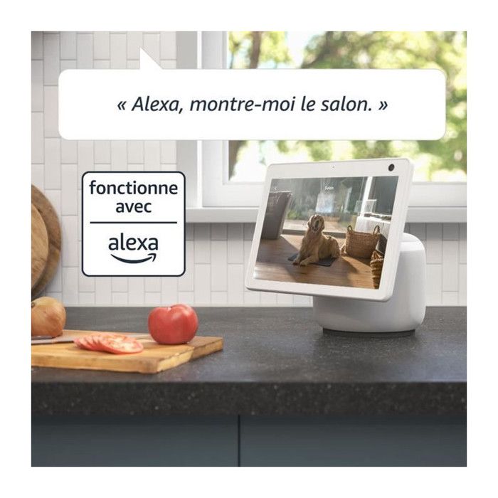 Caméra miniature - Blink - 53-029591 - Vision HD - Audio bidirectionnel - Compatible Alexa