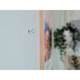 Chevilles a Expansion - RAPID - Métal pour Cloison Plâtre 6-16mm - Lot 12 Vis Crochet Mural - Charge Max 40 kg - (5001557)